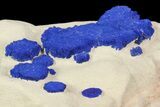 Brilliant Blue Azurite Sun Cluster On Rock - Australia #77629-2